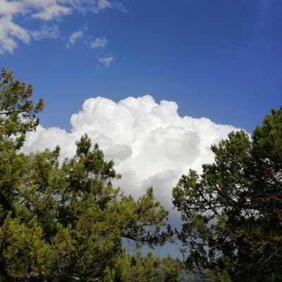 sercanmustafa's profile picture. 