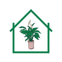 Easy House Plants Care(@houseplantscare) 's Twitter Profile Photo