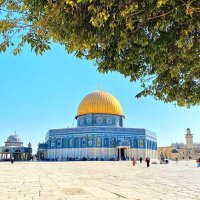 farooq abid (@qarymukhlis313) Twitter profile photo