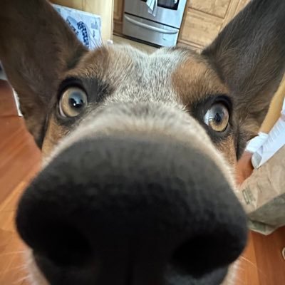 lynduhhh99's profile picture. ganando como siempre