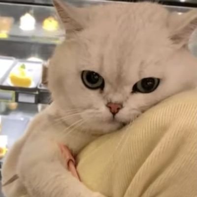 moyan_02's profile picture. 