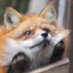 artifis (@artifuz) Twitter profile photo artifis (@artifuz) Twitter profile photo