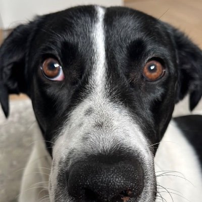 vishy536's profile picture. Just be a Good Human,,,