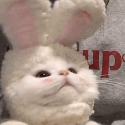 wlshxue's profile picture. 東京