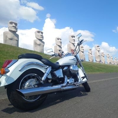 10年ぐらい前に見たバイク
私もいつかあのバイク乗りたい！
そう思ったのがシャドウ400

🇯🇵×🇵🇭