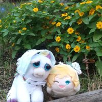 エスノ🦄 (@sno34prpr) 's Twitter Profile