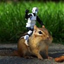 Adam Post - @posty427 - Twitter