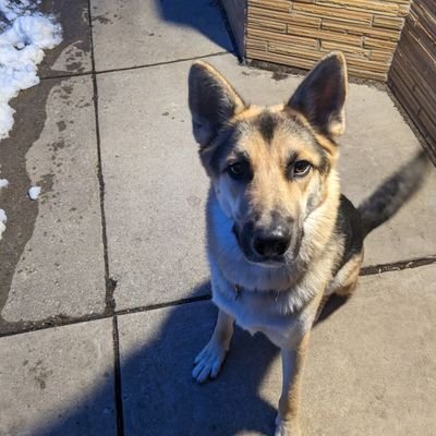 JimCornelius7's profile picture. 