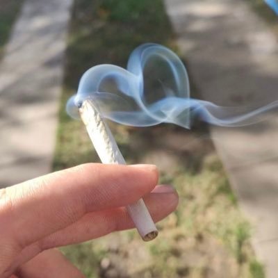 sEnBai_swingerr's profile picture. 2017夏からBTCを愛して止まないスウィンガー                                                                ハイレバもゾーンに入れば手入れ場