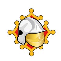 SDIS81 - Les sapeurs-pompiers du Tarn (@sdis81) 's Twitter Profile