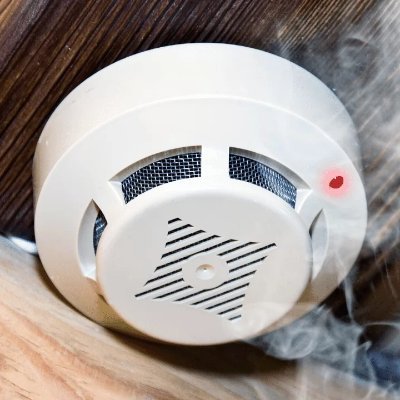 enemy_detector's profile picture. On a mission to alert & protect. Best at detecting western civilization enemies. Smelling smoke before the fire.