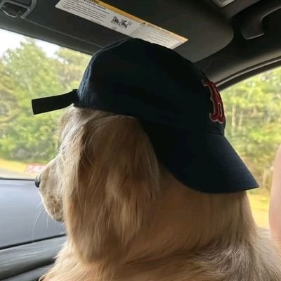 n1wqe's profile picture. 