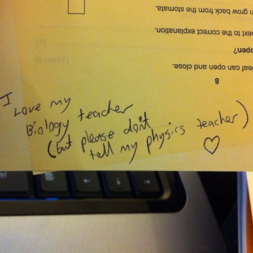 Particle_Zoo's profile picture. 