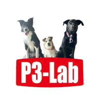Print Shop P3-Lab(@P3Print) 's Twitter Profile Photo