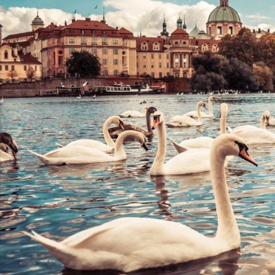 UmerSharjeel4's profile picture. 