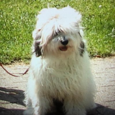 Maganda040107's profile picture. Tennis