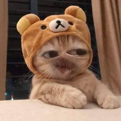 FinaSalwa18182's profile picture. 