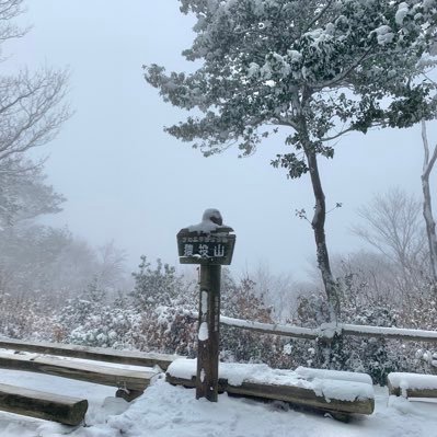 2022年11月にソロ登山をやってみたら、一気にはまってしまった。膝や腰にいい登り方を調べては、忘れないようにXを利用してメモしてます