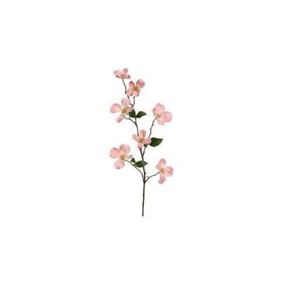 redlwood's profile picture. 