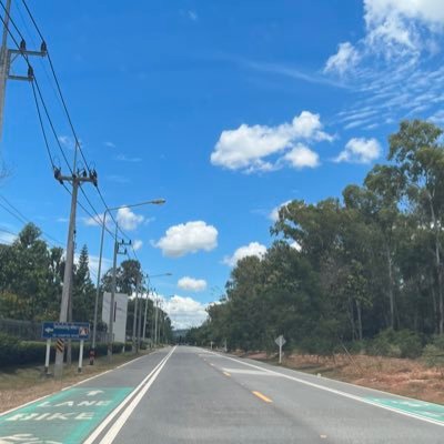 anjalis2804's profile picture. 