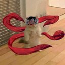 Lisa Perez - @LisaPerez112116 - Twitter