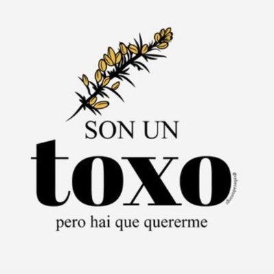 Ser un toxo es ser una persona borde; la versión toxiño se usa para referirse a aquellas personas que aunque son bordes también resultan achuchables