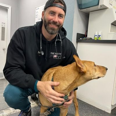 VetsD83396's profile picture. Old Account Disabled 
Veterinarian 🐇🐿🦘🐶🐕🐖🦔🕊