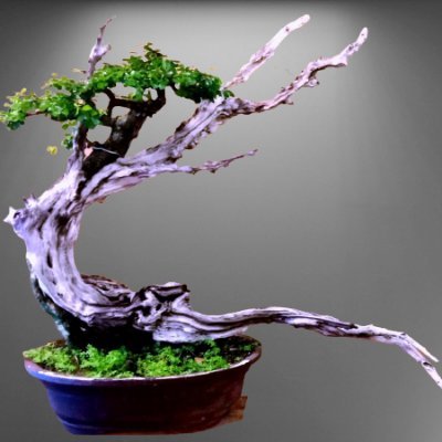 Bonsai Artist