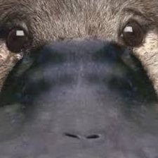 HxKqhBGAJW11626's profile picture. ハム大クイ研/SOQ/理物3回