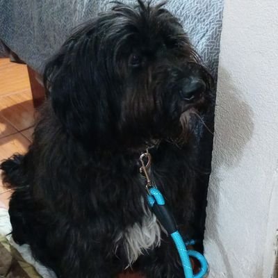 5a5226844a58483's profile picture. 