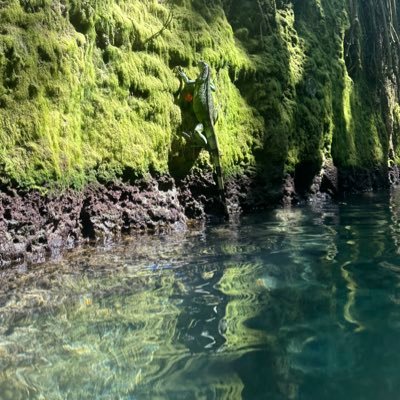 MichaelaSM5's profile picture. 