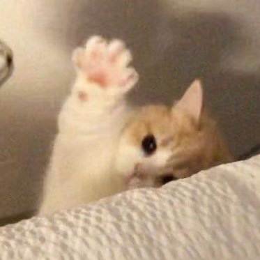 mmtrs__smap's profile picture. だんだん元気になってきた〜☆*:.｡. \吾郎ちゃんと慎吾ちゃん/.｡.:*☆.