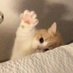 ããããã (@mmtrs__smap) Twitter profile photo ããããã (@mmtrs__smap) Twitter profile photo
