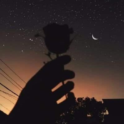 marikakingking0's profile picture. 55