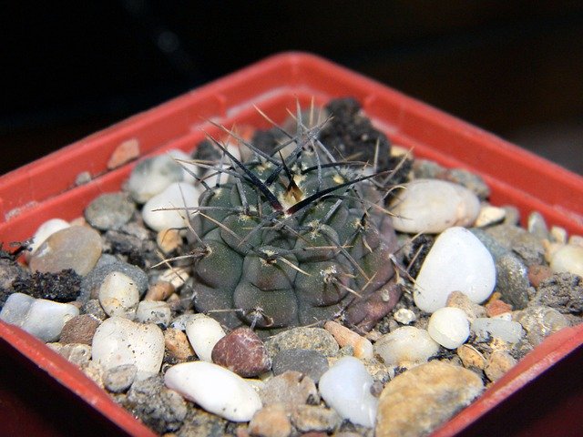 Febri98931944's profile picture. Why