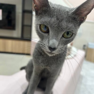 福岡 国体予選7位w(微妙過ぎる)イーフト最高ディビ1 プレミアリーグを主に見てます たまにイーフト垂れ流し配信してます