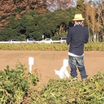 🌾 酒米「美山錦〈ミヤマニシキ〉」の言葉の響きに親近感を感じつつ、お酒は地元千葉の日本酒を中心に、でも最近は広範に楽しんでいます🍶 お酒のご縁に感謝… 🍻 無言フォローお許しくだサイ🦏 +Fishmans🐟 +Drums🥁 +建築探訪🚶♂️……