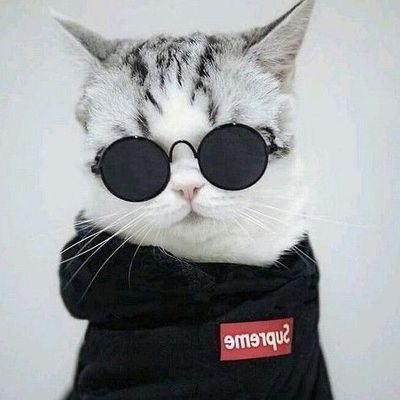 Md_ShoaibMalik's profile picture. Real Is Rare🇵🇰