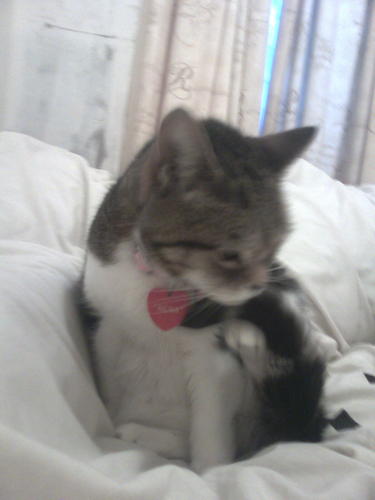 yeastlover's profile picture. science fiction,people observer, interesting thoughts,also great beer