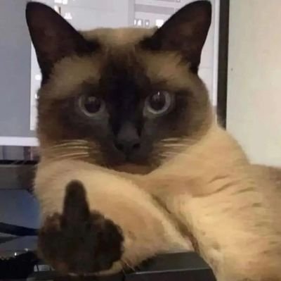 Harry_980K's profile picture. carbon based life form