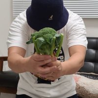 ぽぽ (@popodoc_tv1) 's Twitter Profile