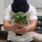 popodoc_tv1