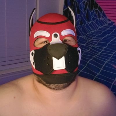 Zero_Cub's profile picture. https://t.co/2F5GYjdDUH NSFW, 35, Husband, BF, Poly, Gainer, Comic Books, Anime/JRPGs, Tokusatsu fan, Piggy, Chubby Puppy, Furry Cartoon 🐶