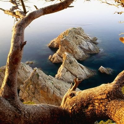 JPrati90's profile picture. 