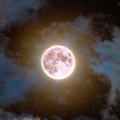 Sandeep821101's profile picture. 