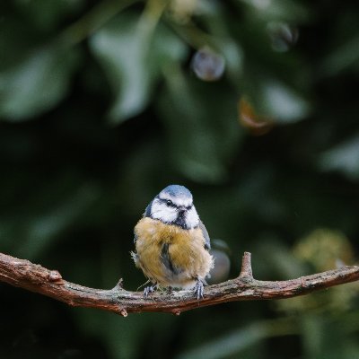 tanver2424's profile picture. 