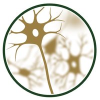 Vis a Vis in the Brain: The Neuron-Glia Interface (@ngifreiburg) 's Twitter Profile Photo Vis a Vis in the Brain: The Neuron-Glia Interface (@ngifreiburg) 's Twitter Profile Photo
