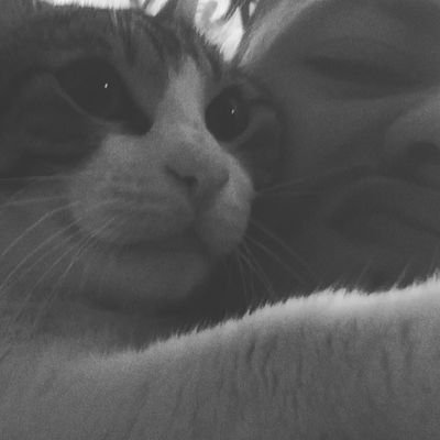 younesm2l's profile picture. 23 |\/|kissland year