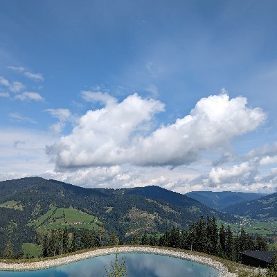 michaelLoewens's profile picture. 