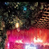 anna2903 (@savageanam__) 's Twitter Profile Photo anna2903 (@savageanam__) 's Twitter Profile Photo